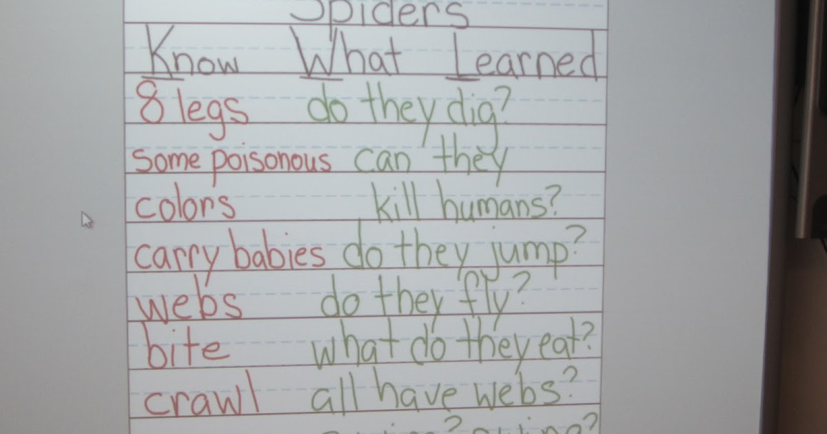 Herding Kats in Kindergarten Spiders & Handwriting!